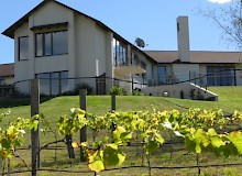 NZ vineyard accommodation