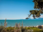 Holiday Homes