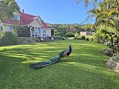 Self-catering Accommodation