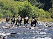 Horse Trekking