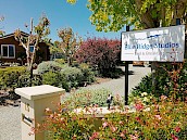 B&B